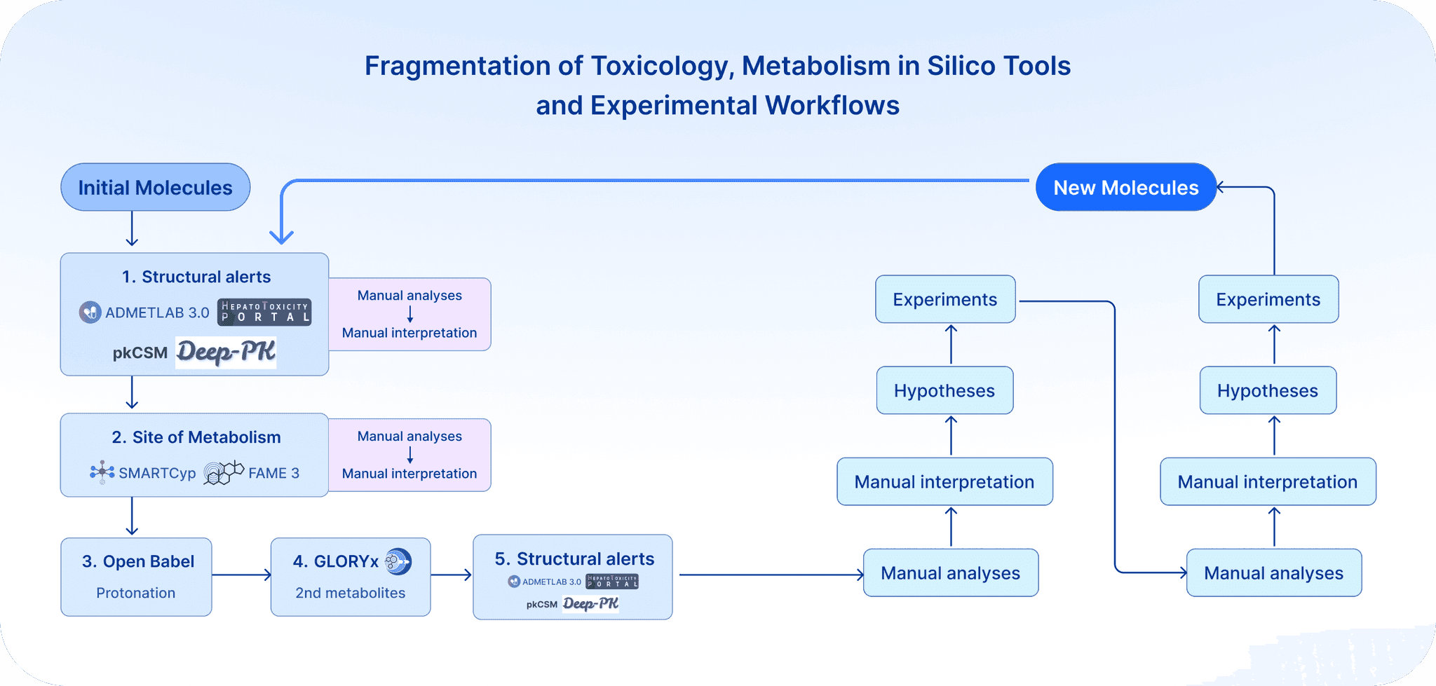 In Silico Toxicology: How AI Predicts Drug Safety Risks